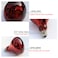 SIGMA BR40 INFRARED 250W HEAT LAMP RED COLOR