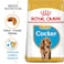 Breed Health Nutrition Cocker Puppy 3 KG