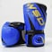 Sky Land Premium Boxing Gloves/Training Gloves For Men And Women/For Fitness Training, Punch In Boxing/Kickboxing/Sparring-Em-9340-L