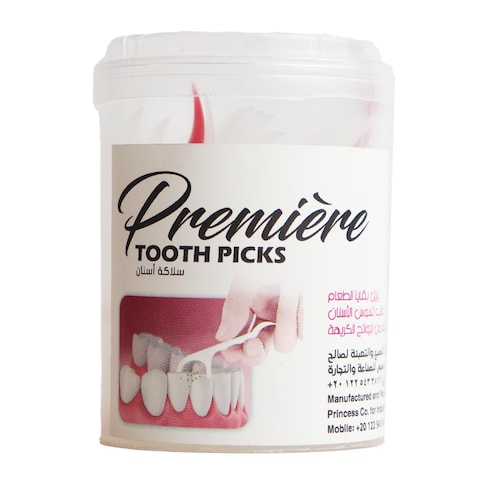 Premiere Plastic Toothpick - 40 Pieces