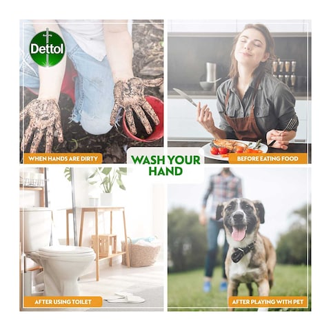 Dettol Hand Wash Nourish - 400 ml