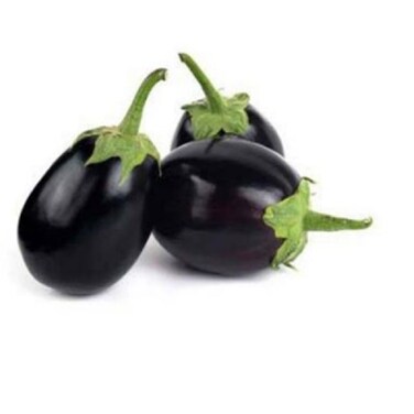 Eggplant Round ( بینگن گول) 