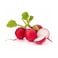 Red Radish