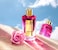 Mancera Roses Greedy Eau De Parfum - 120ml
