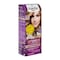 Schwarzkopf Palette Intensive Color Creme - 8-0 Light Blonde