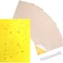lavish Dual-Sided  Yellow Sticky Traps for Flying Plant Insect Such, Pest Insects Killer for Indoor/Outdoor, Pest Monitor Bug Catcher (10 Pack)