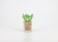 Artificial succulent bonsai-Model 11