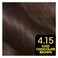 Garnier Permanent Hair Color 4.15 Olia Iced Chocolate