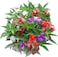Pack of 3 Impatiens Flower Seeds
