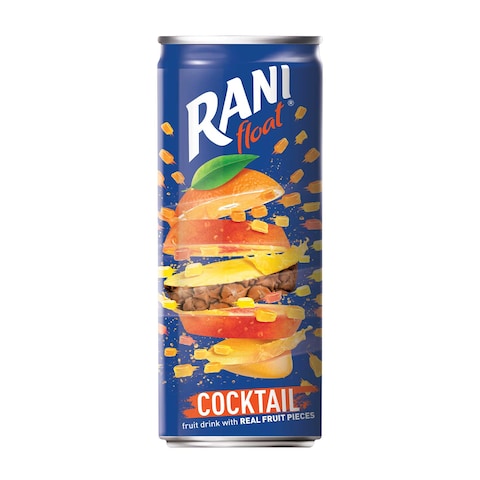 Rani Float Fruit Cocktail Juice- 235 Ml