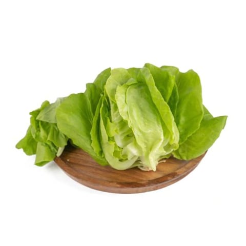 Baby Butterhead Lettuce - 100 gram