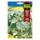 Fito Seeds Basil Genovesa Giant