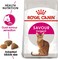 Royal Canin Fhn Feline Health Nutrition Savour Exigent 4Kg Cat Dry Food