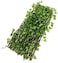 P&amp;N Fence With Artificial Plants, Expandable Green Leaves Wicker For Home Garden Villa Outdoor Decoration