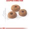 Royal Canin Fhn Feline Health Nutrition Fit 32 400gm Adult Cat Dry Food