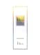 Christian Dior Addict Eau De Toilette For Women - 50ml