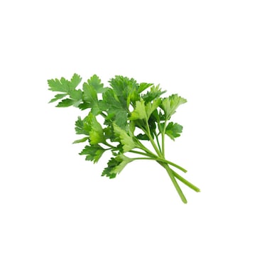 بقدونس - 100 جم