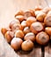 Raw Hazelnuts in Shell