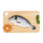 Buy Fresh Seabream in UAE