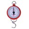 Hanson Hanging Spring Scale White/Red 100Kg