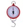 Hanson Hanging Spring Scale White/Red 100Kg