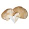 Mushroom Oyster 250G