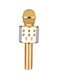Generic Wireless Karaoke Microphone Ws-858 Gold/Silver