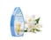 Amahogar Gel Air Freshener - Jasmine