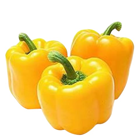 Capsicum Yellow