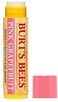 Burts Lip Balm Pnk Grpfrt Size .15 O Burts Bee Lip Balm, Pink Grapefruit, Pack Of 8