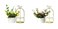 Aiwanto Flower vase Artificial Flowers With Vase  Decoration Home Decor Piece Tabletop Decoration(2Pcs)