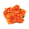 Marigold