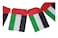 UAE Party Flags 4 meter 12flags