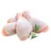 Fresh Chicken Drumstick