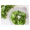 Beper Chopper Glass Container 1.5L 500W