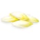 Chicory 500g