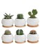 Generic 6 Pcs Geometric Succulent Planter, Set Of 6 White Ceramic Succulent Cactus Wave Design Planter Pots With Bamboo Tray(Plants Not Included)