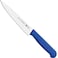 Tramontina Since 1911, Made In Brazil Professional 10 Inches Meat Knife With Stainless Steel Blade And Blue Polypropylene Handle With Antimicrobial Protection