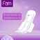 Fam Maxi Classic Sanitary Pads With Wings White 10 countx3