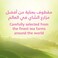 ربيع شاى اخضر طبيعى بالياسمين 25 كيس شاي
