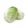 Chinese Cabbage