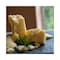 Browns Parmesan cheese Wheel