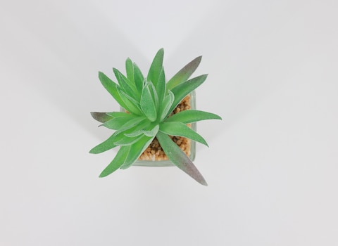 Artificial succulent bonsai-Model 05