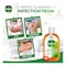 Dettol Anti-Bacterial Antiseptic Disinfectant 250ml