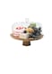 Lihan Cake Stand With Acrylic Dome Lid 2-In-1 Multifunctional Round 26X26Cm (B) Shatterproof Dessert Table Display For Veggie Tray, Fruit Bowl, Donut Stand, Nachos Plate, Cake Stand