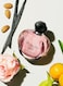 Dior Poison Girl Eau De Toilette For Women - 100ml