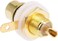 DKURVE&reg; RCA Female Bulkhead Socket (PACK OF 6)
