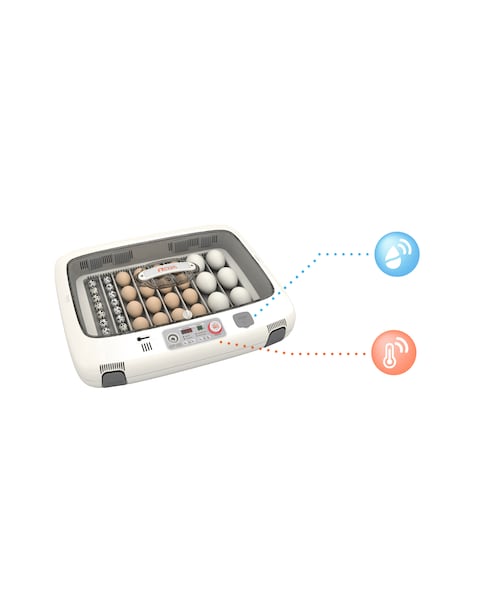 Rcom Full Automatic Egg Incubator, Poultry Hatcher, MX-50 DO (Made in Korea)