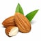 Almond