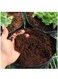 vsell24&nbsp;5L Bio Loose Cocopeat For Indoor And Outdoor Plants High Quality Medium Growing Coco Peat Made In UAE